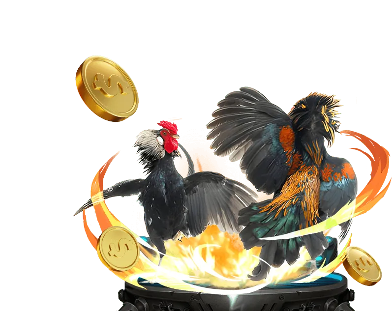 Khuyến mãi mới nhất từ các nhà cái uy tín