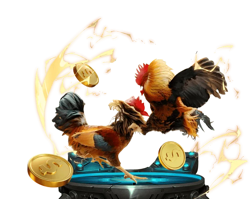 Cách chọn trang web cá cược uy tín hàng đầu